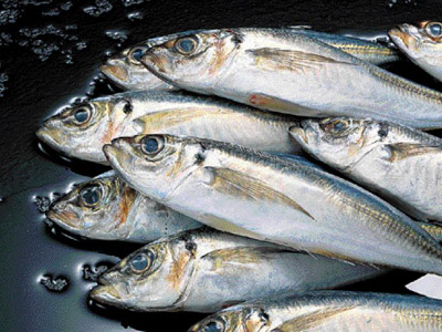 Ψάρια εναντίον … τριχόπτωσης